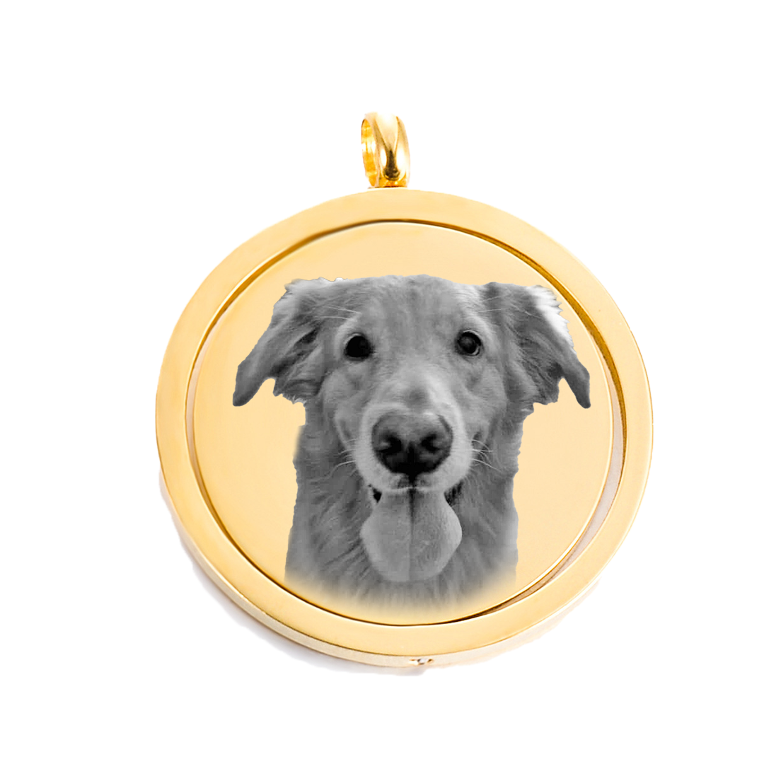 Placa Giratoria 360